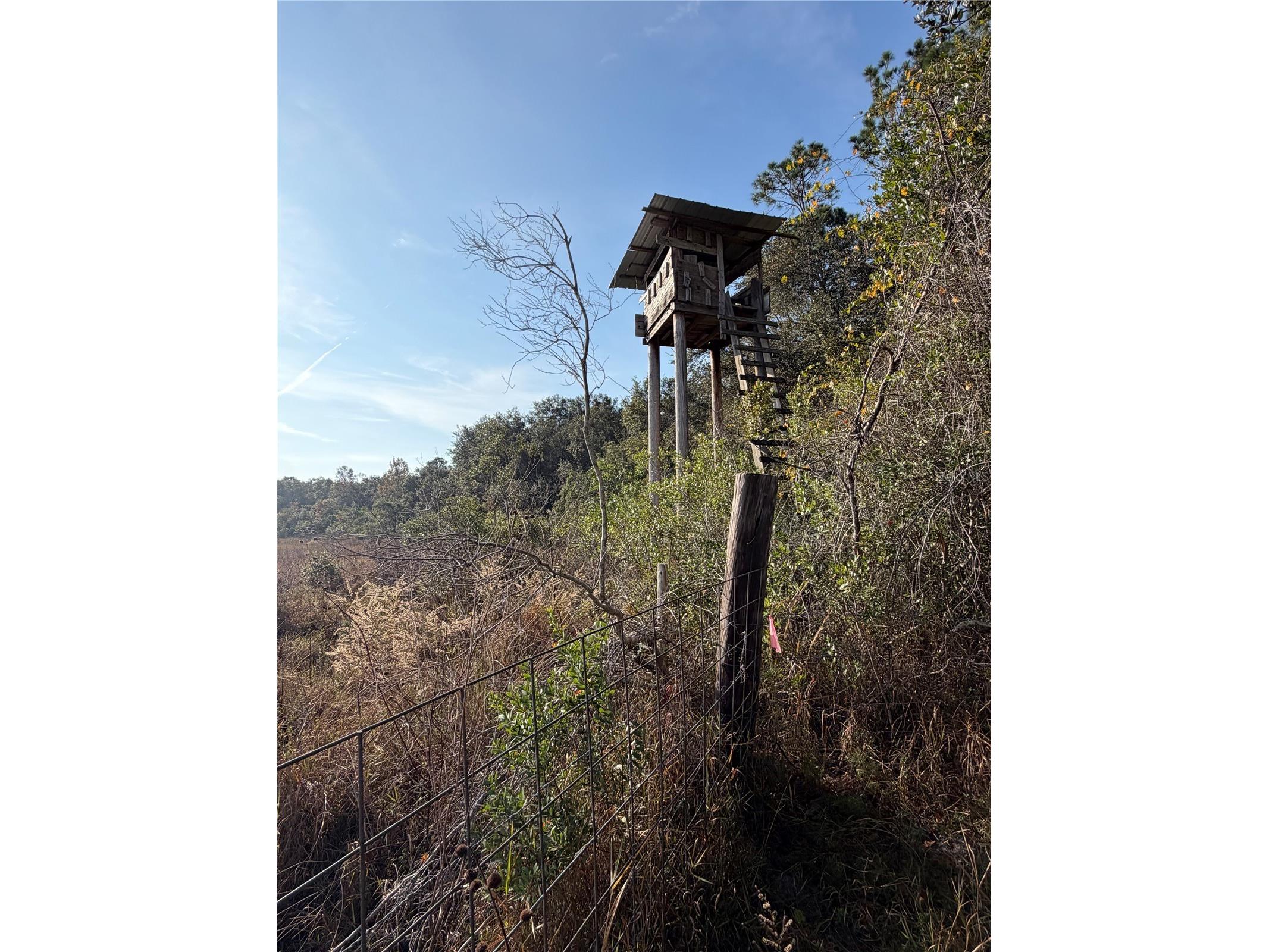 6966 E Turner Camp Road Inverness FL 34453 TB8470618 image13