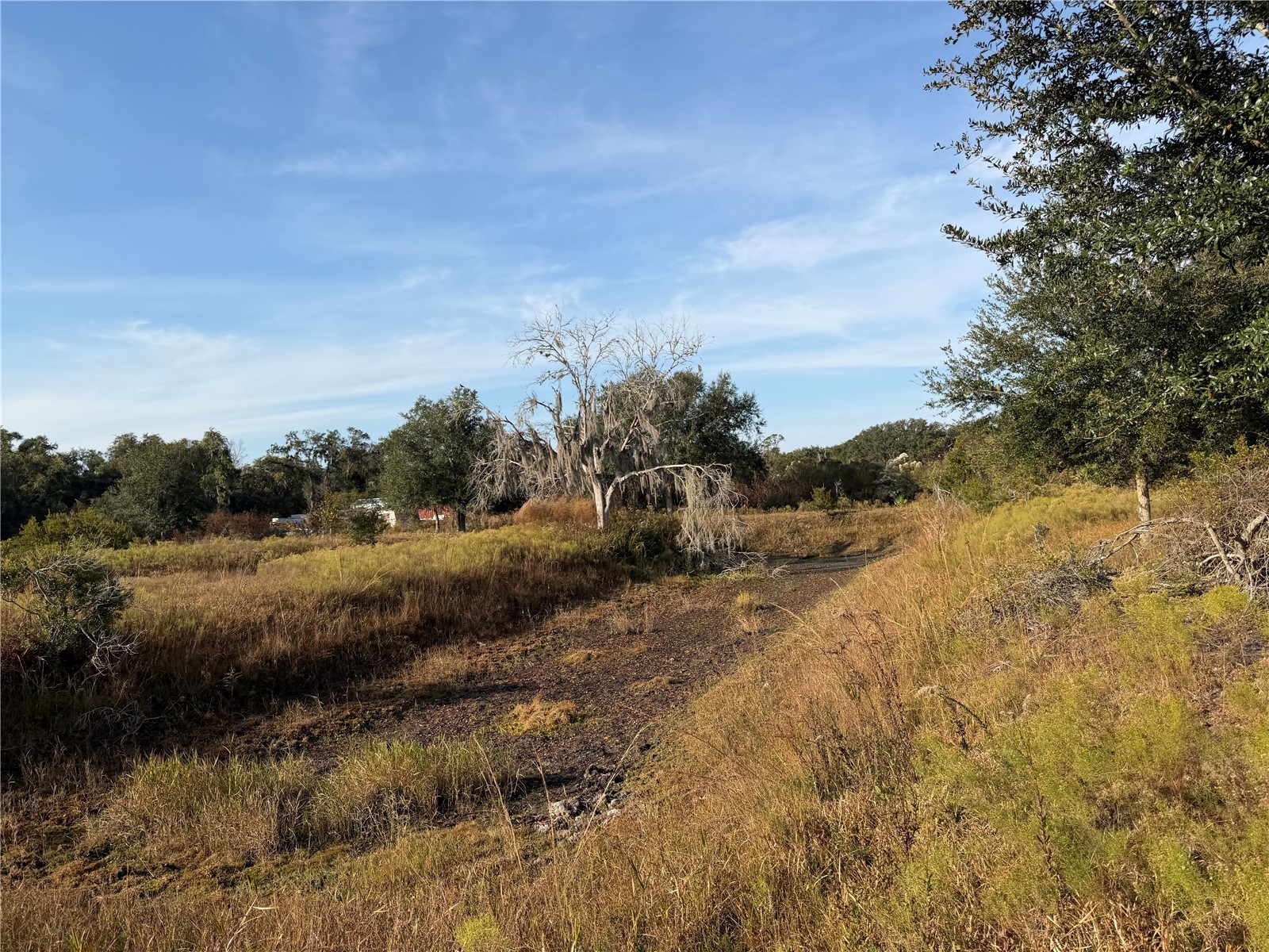 6966 E Turner Camp Road Inverness FL 34453 TB8470618 image15