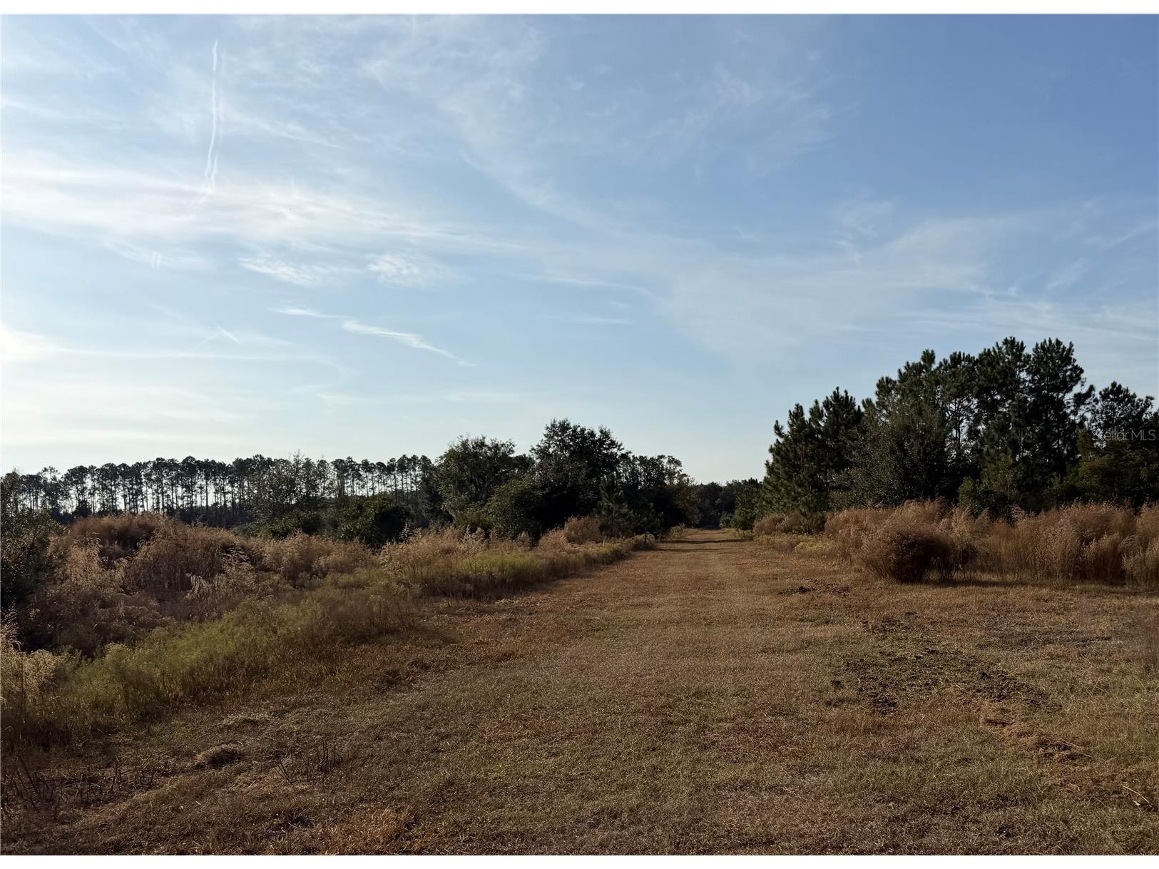 6966 E Turner Camp Road Inverness FL 34453 TB8470618 image16