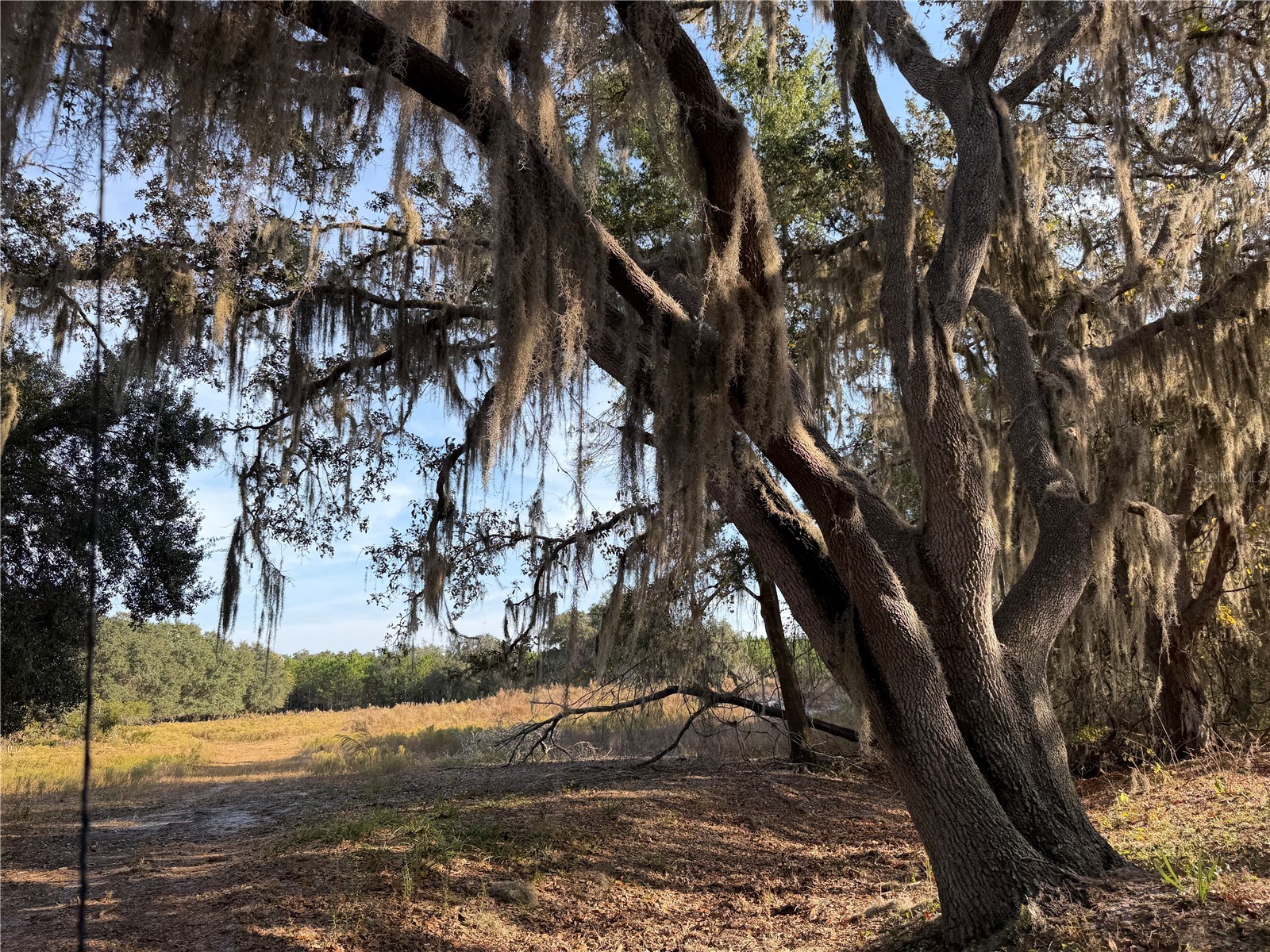 6966 E Turner Camp Road Inverness FL 34453 TB8470618 image9