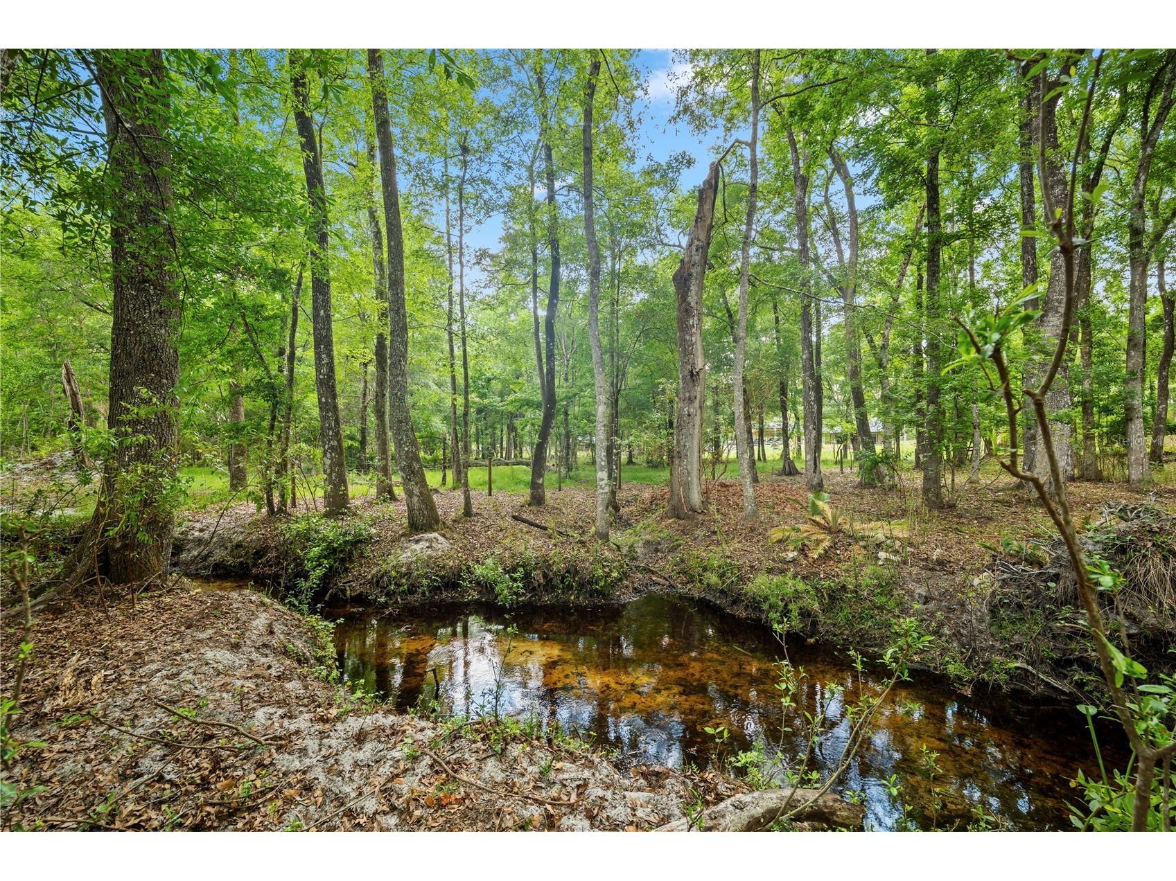 6967 Sharron Road Green Cove Springs FL 32043 FC317810 image58