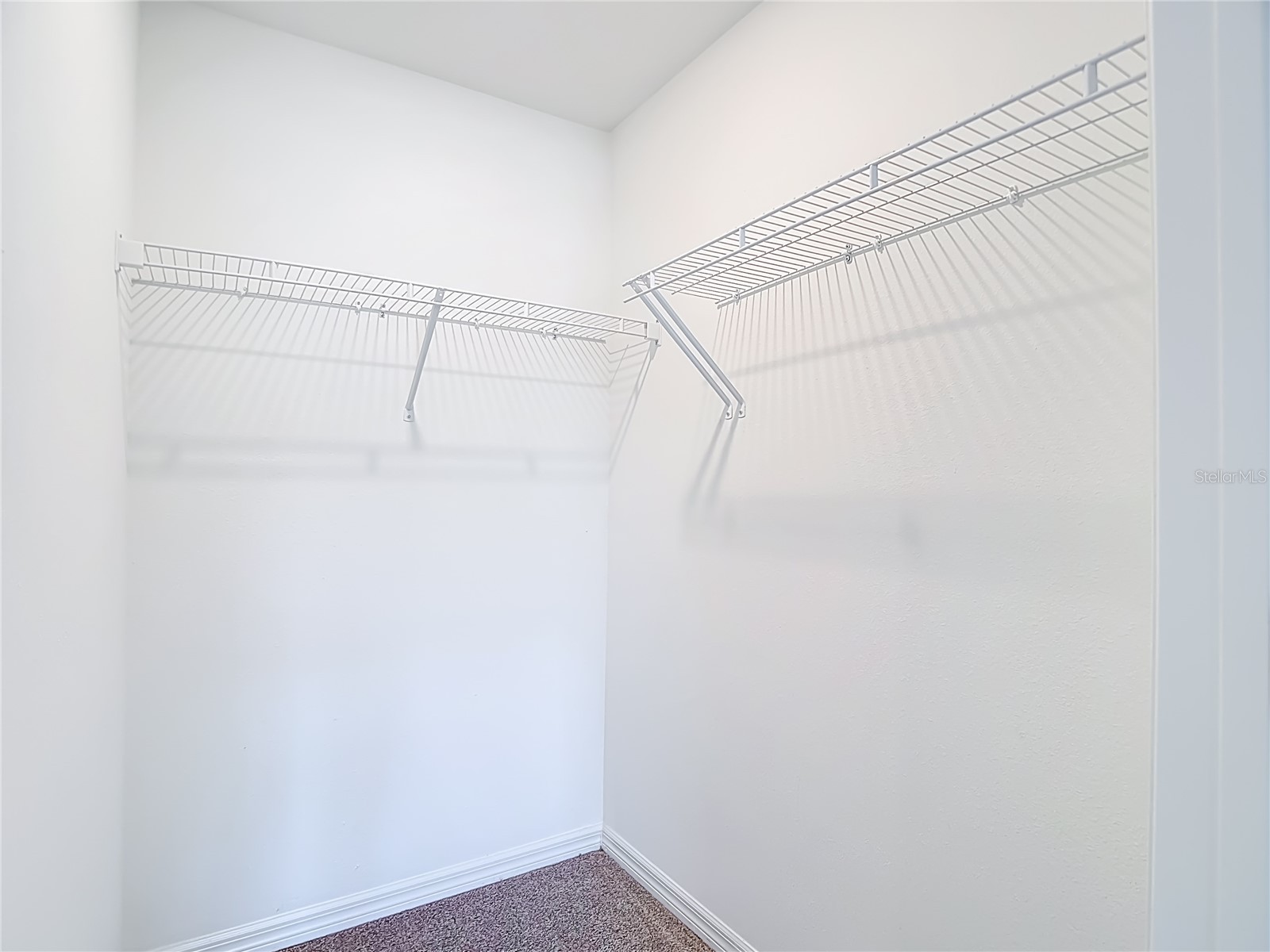 6969 Faben Lane Zephyrhills FL 33542 TB8509009 image21