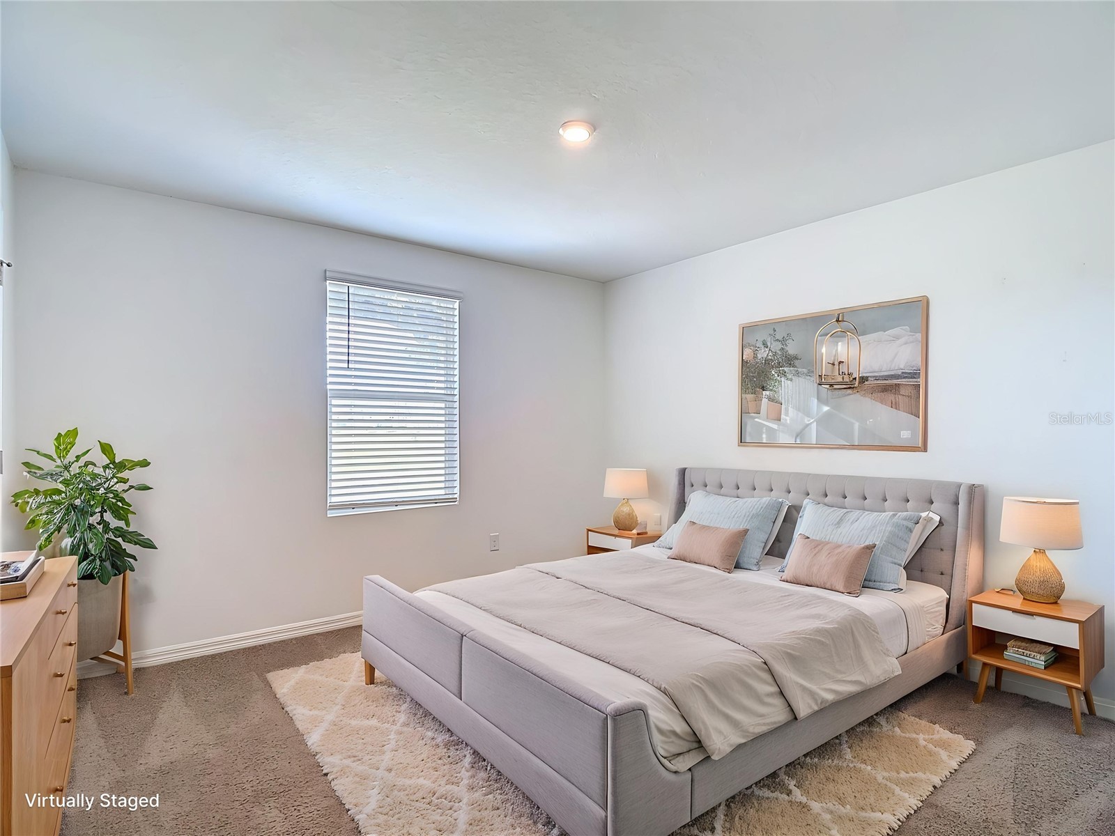 6969 Faben Lane Zephyrhills FL 33542 TB8509009 image22