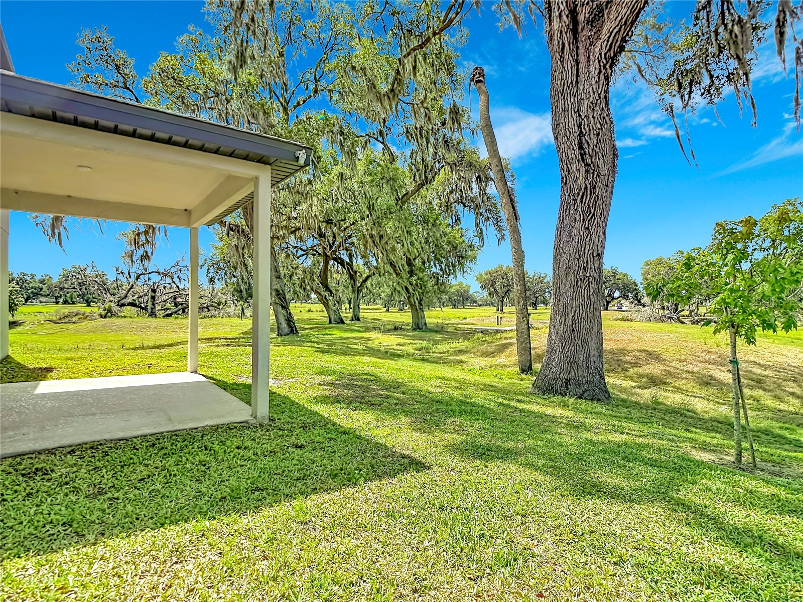 6969 Faben Lane Zephyrhills FL 33542 TB8509009 image29