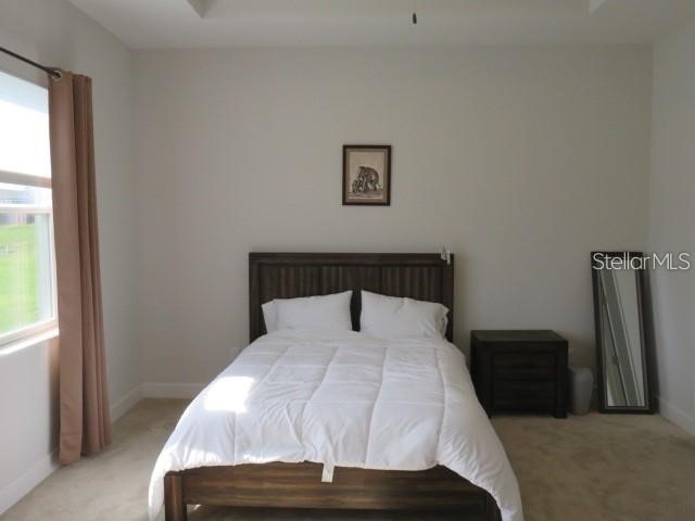 6969 Indus Valley Circle Parrish FL 34219 A4671078 image9