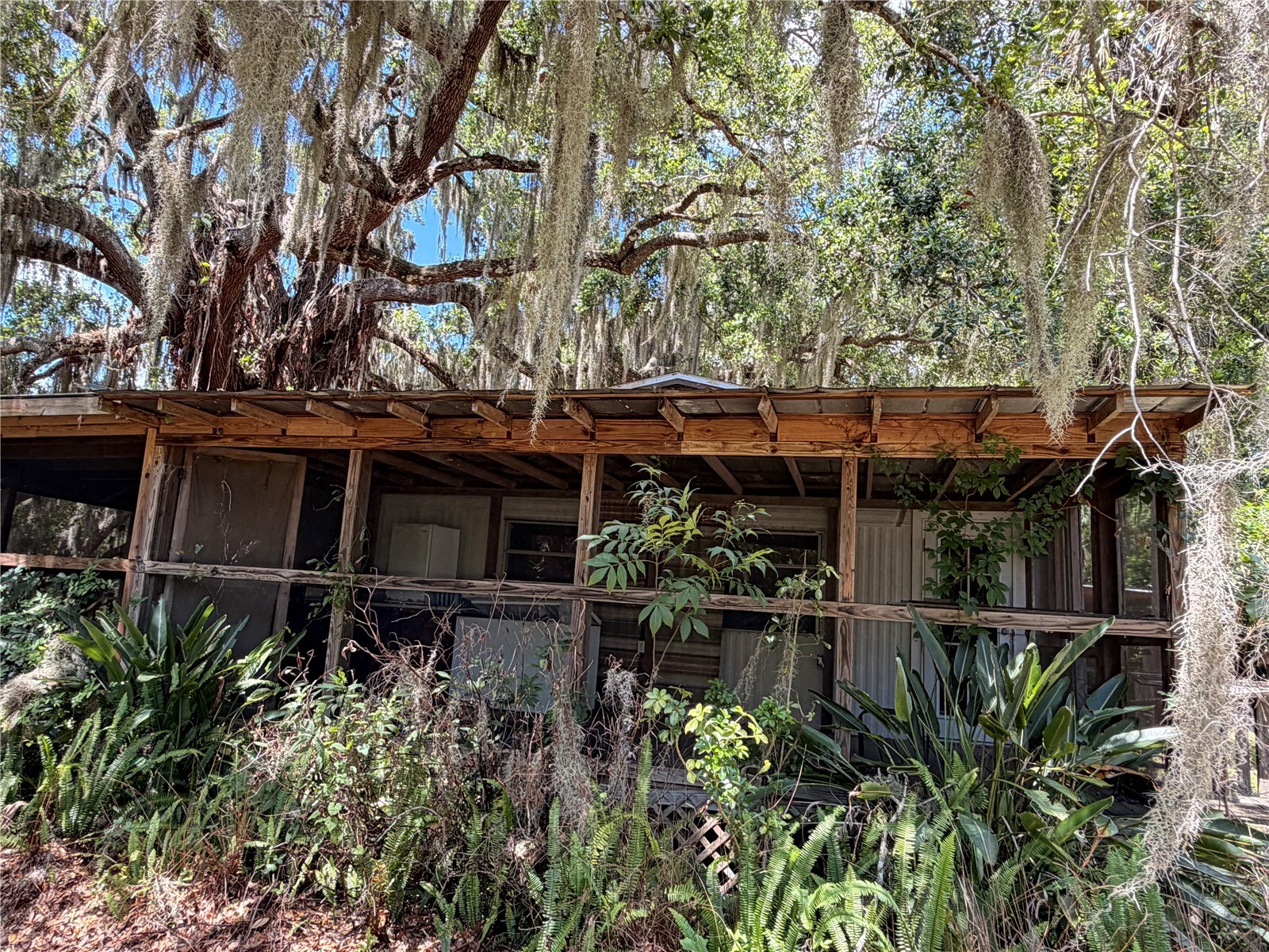 697 Eagle Watch Road Oak Hill FL 32759 - Indian Creek NS1088276 image10