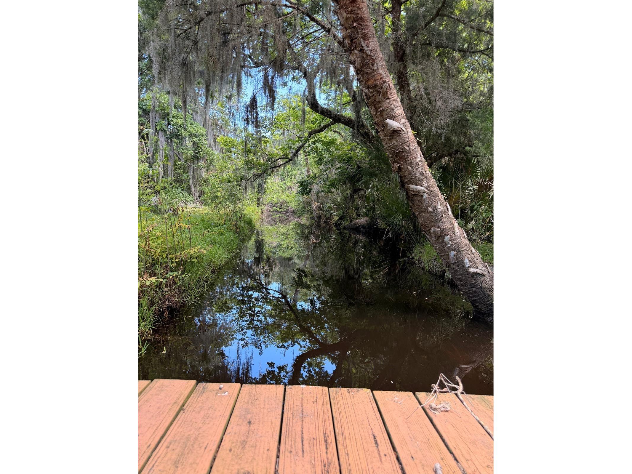 697 Eagle Watch Road Oak Hill FL 32759 - Indian Creek NS1088276 image12