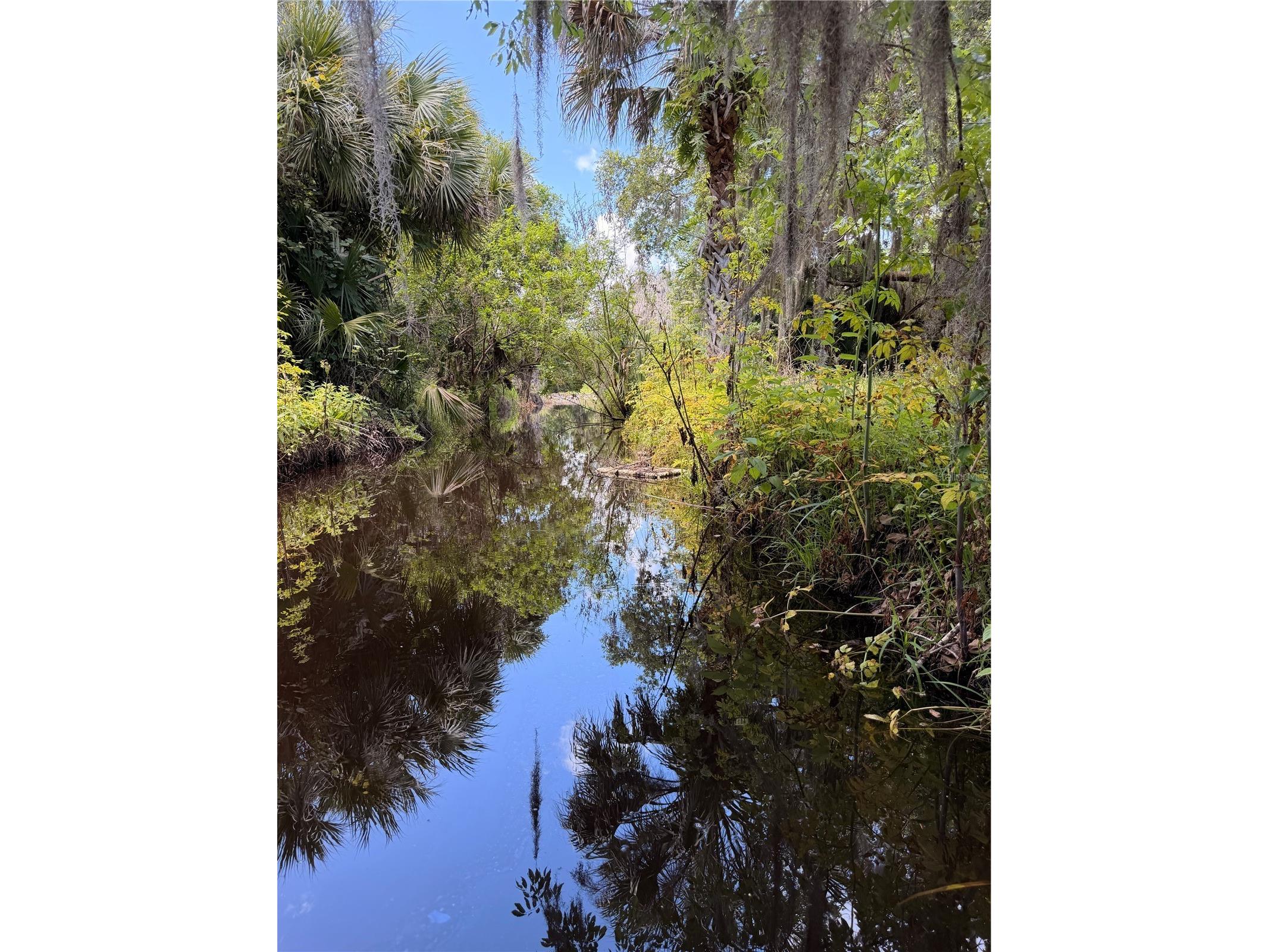 697 Eagle Watch Road Oak Hill FL 32759 - Indian Creek NS1088276 image13