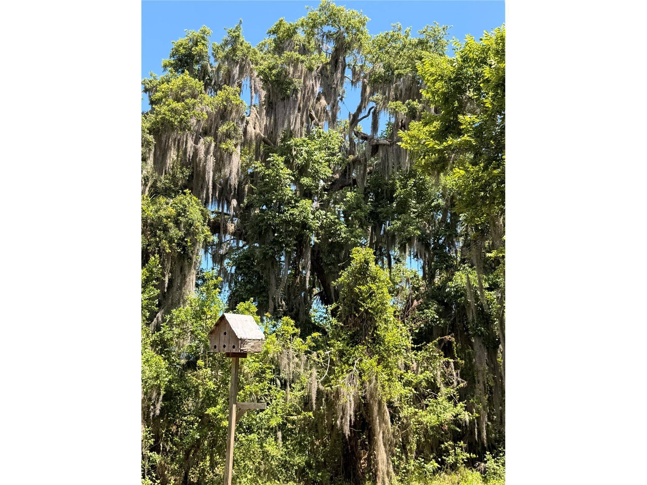 697 Eagle Watch Road Oak Hill FL 32759 - Indian Creek NS1088276 image14
