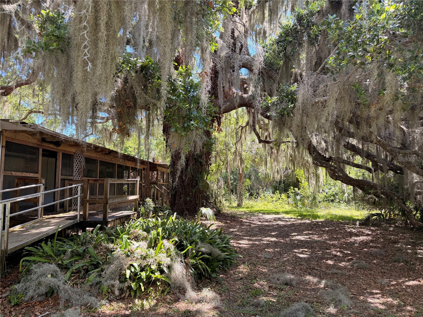 697 Eagle Watch Road Oak Hill FL 32759 - Indian Creek NS1088276 image5