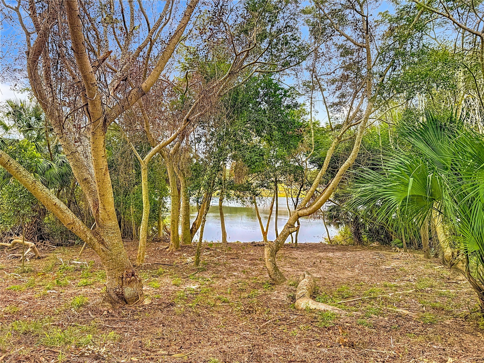 697 Winding Lake Drive Clermont FL 34711 O6371018 image58