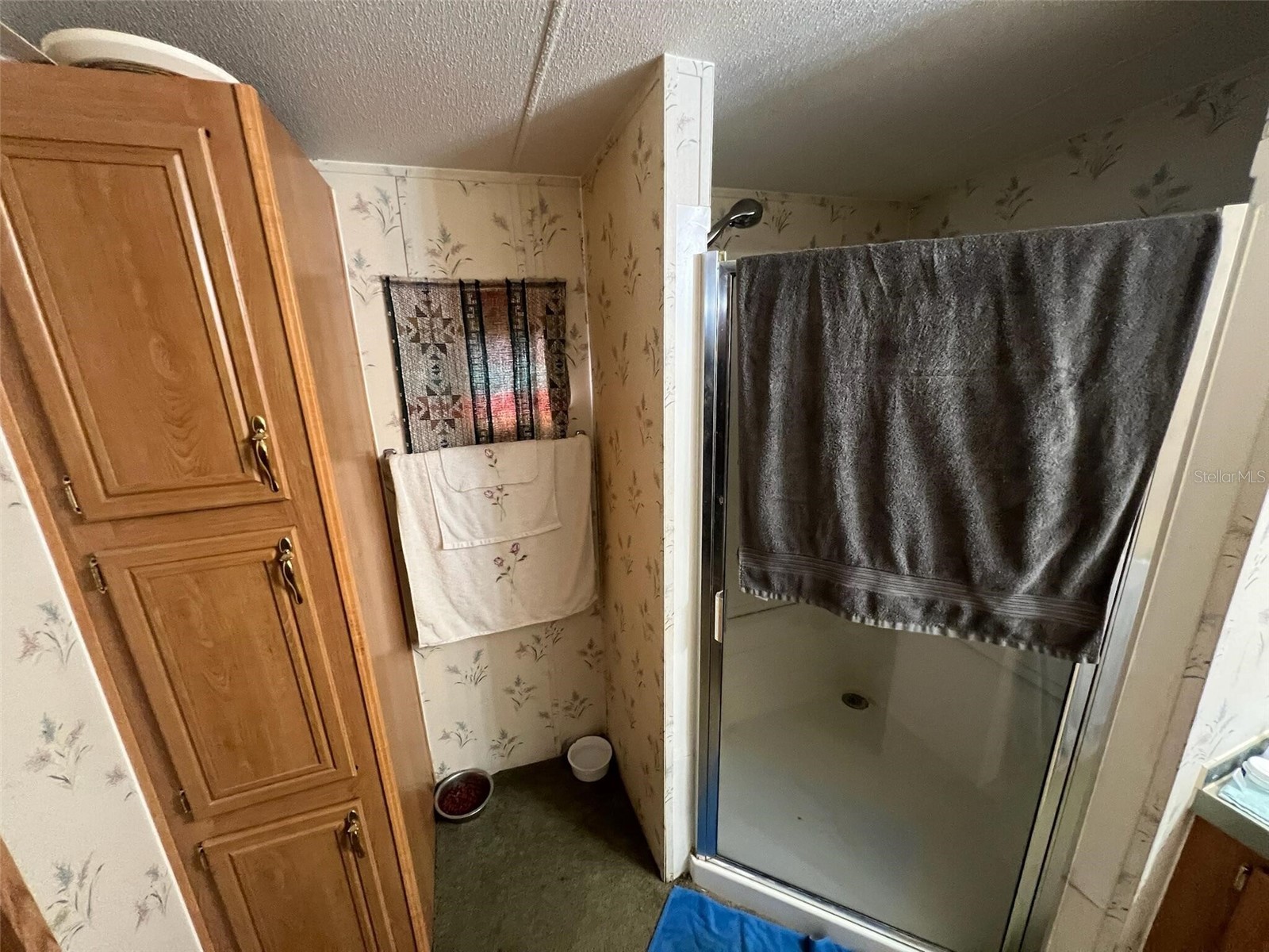 6970 E Totem Court Hernando FL 34442 O6389055 image9