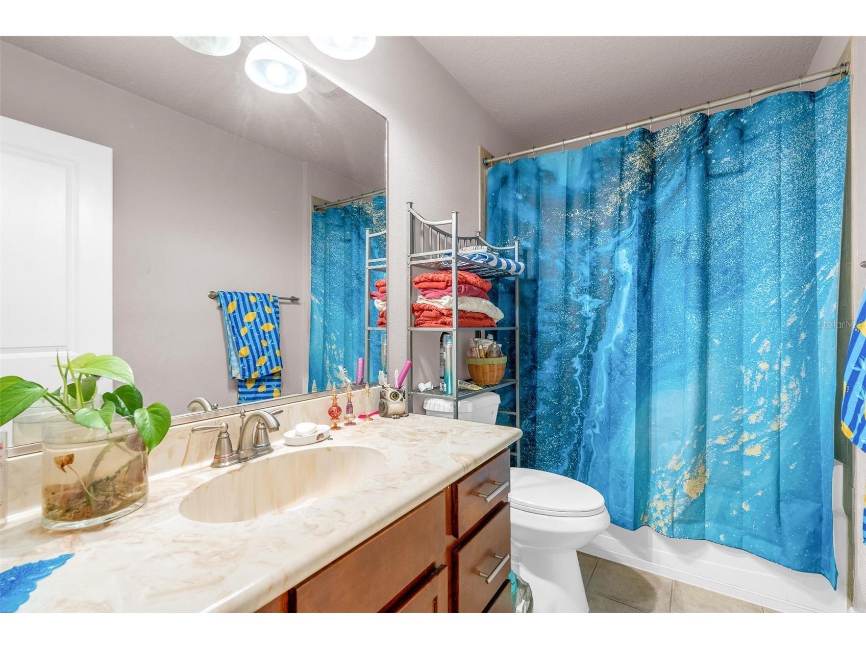 6970 Vintage Lane Port Orange FL 32128 V4948091 image22