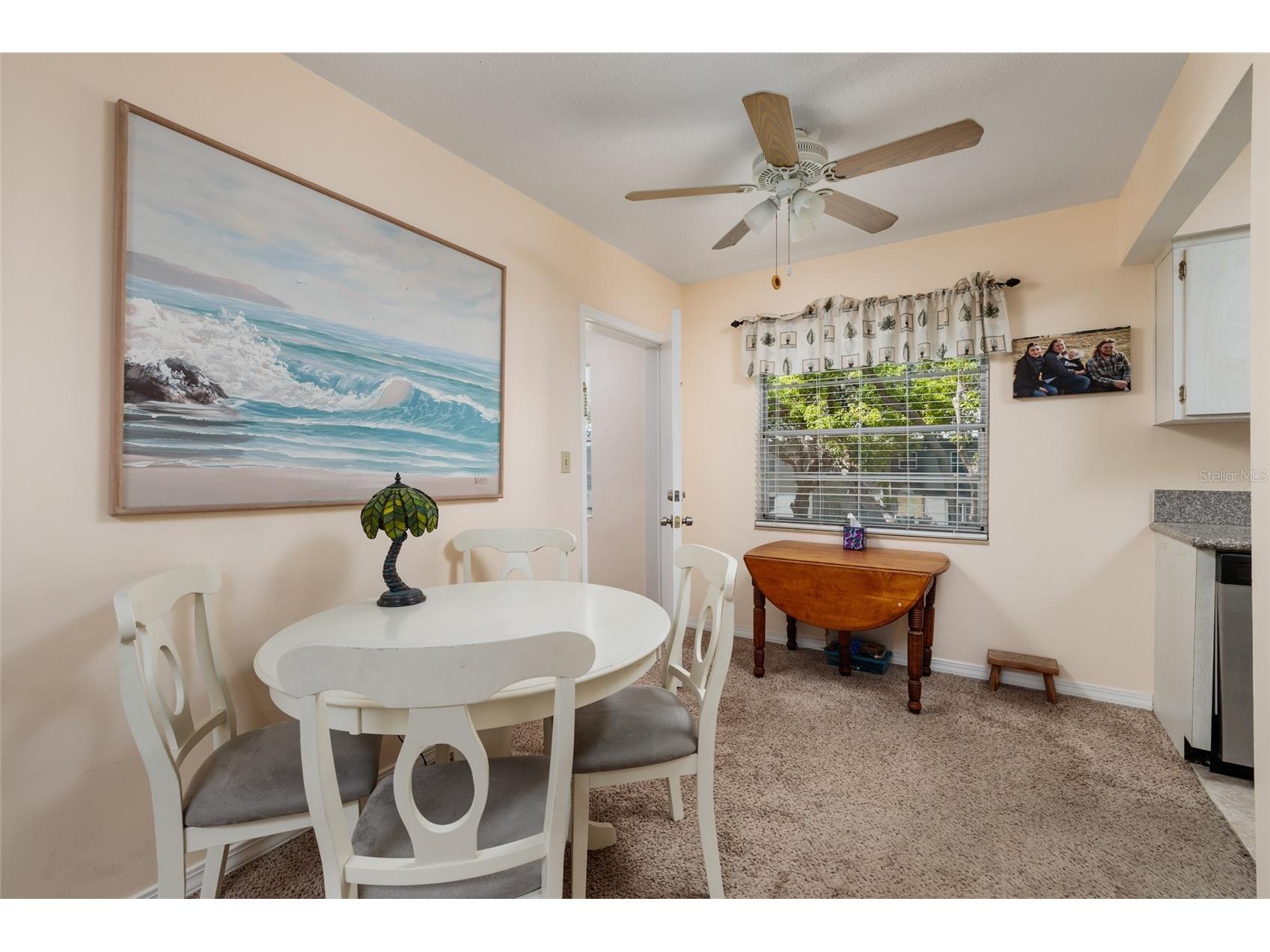 6970A Place De La Paix #2B South Pasadena FL 33707 TB8461646 image11