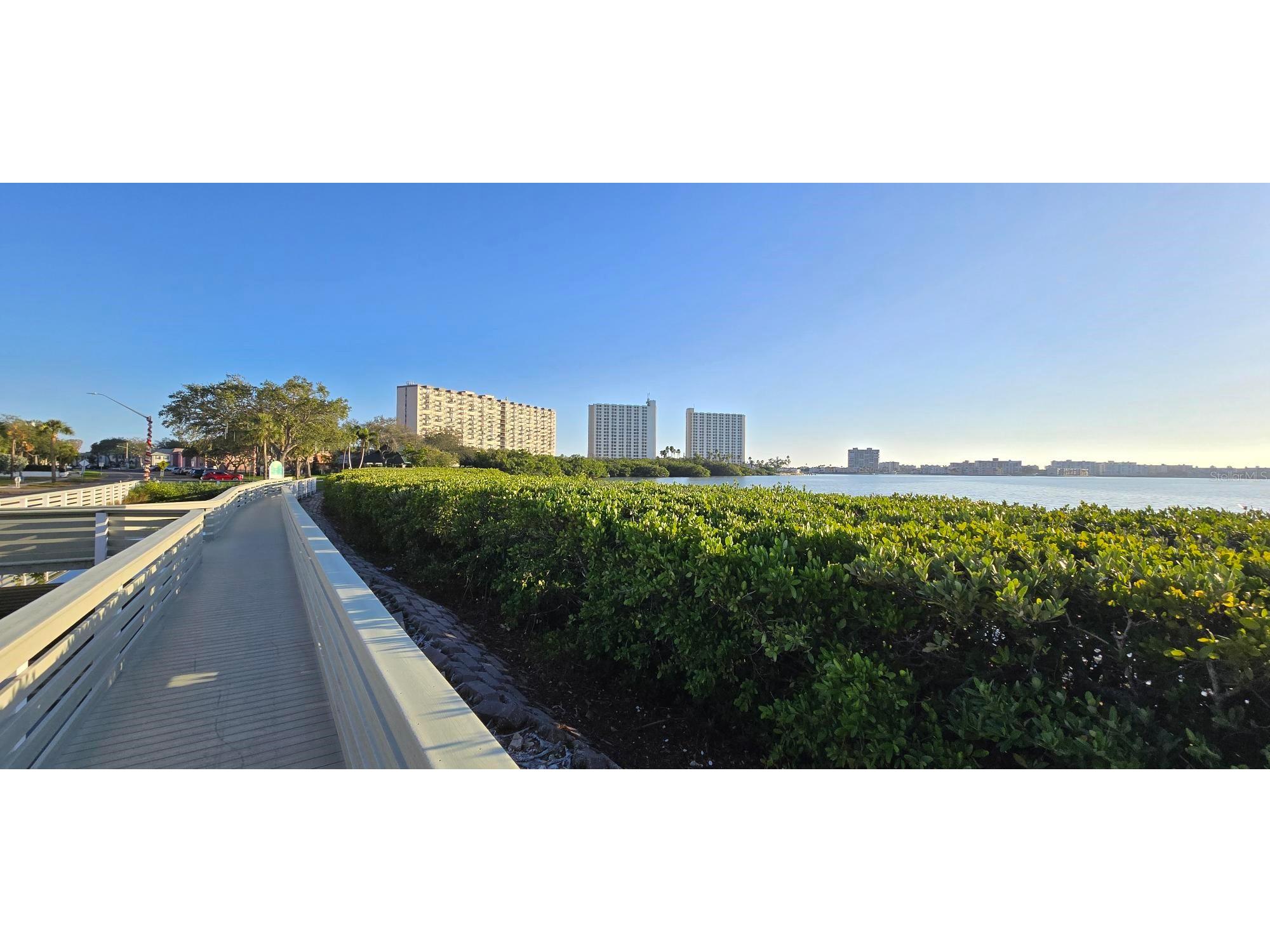 6970A Place De La Paix #2B South Pasadena FL 33707 TB8461646 image3