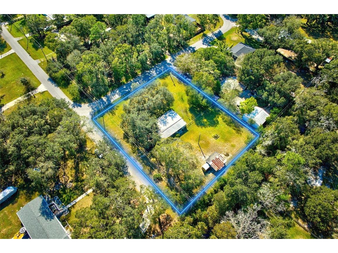 6971 Mangrove Drive Wesley Chapel FL 33544 T3483683 image1