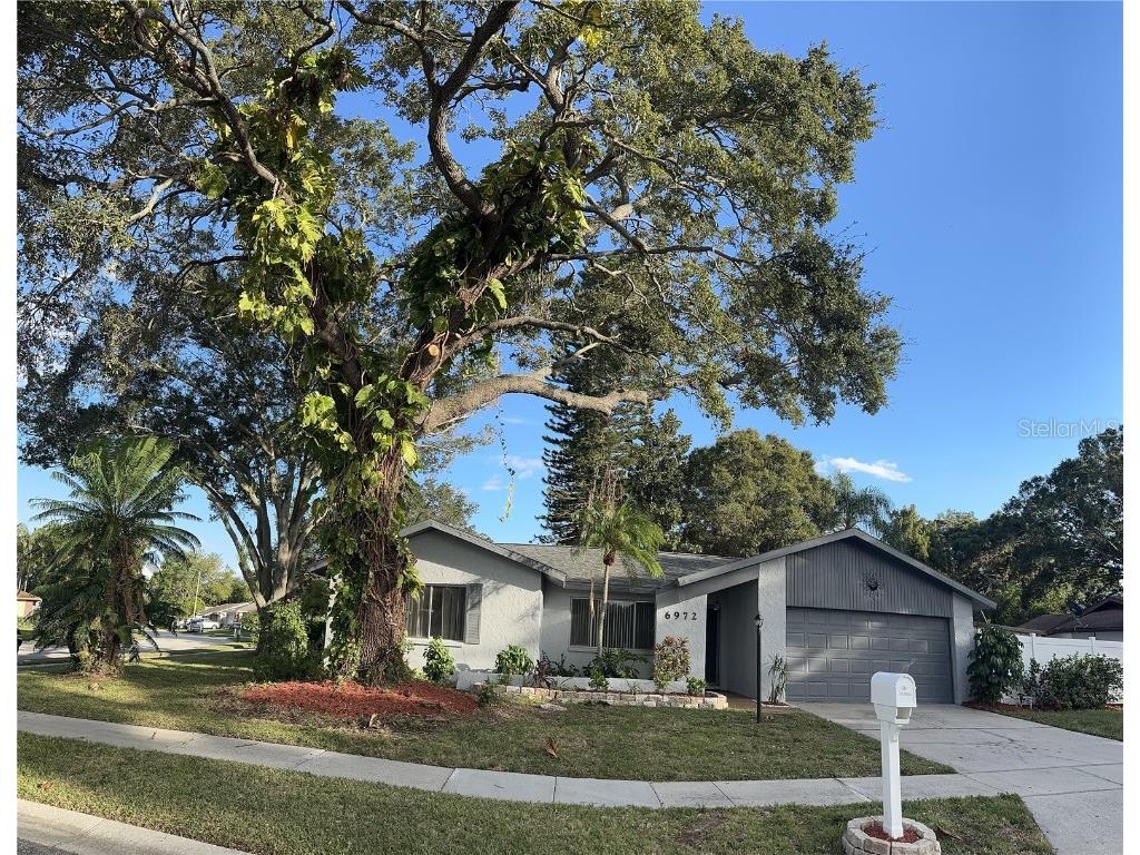 6972 Cedar Ridge Drive N Pinellas Park FL 33781 U8218731 image1