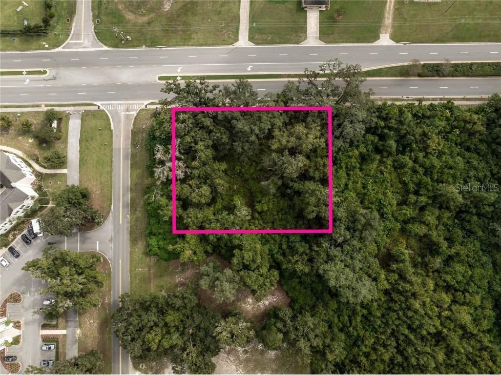 6974 Powell Road Wildwood FL 34785 G5103881 image5