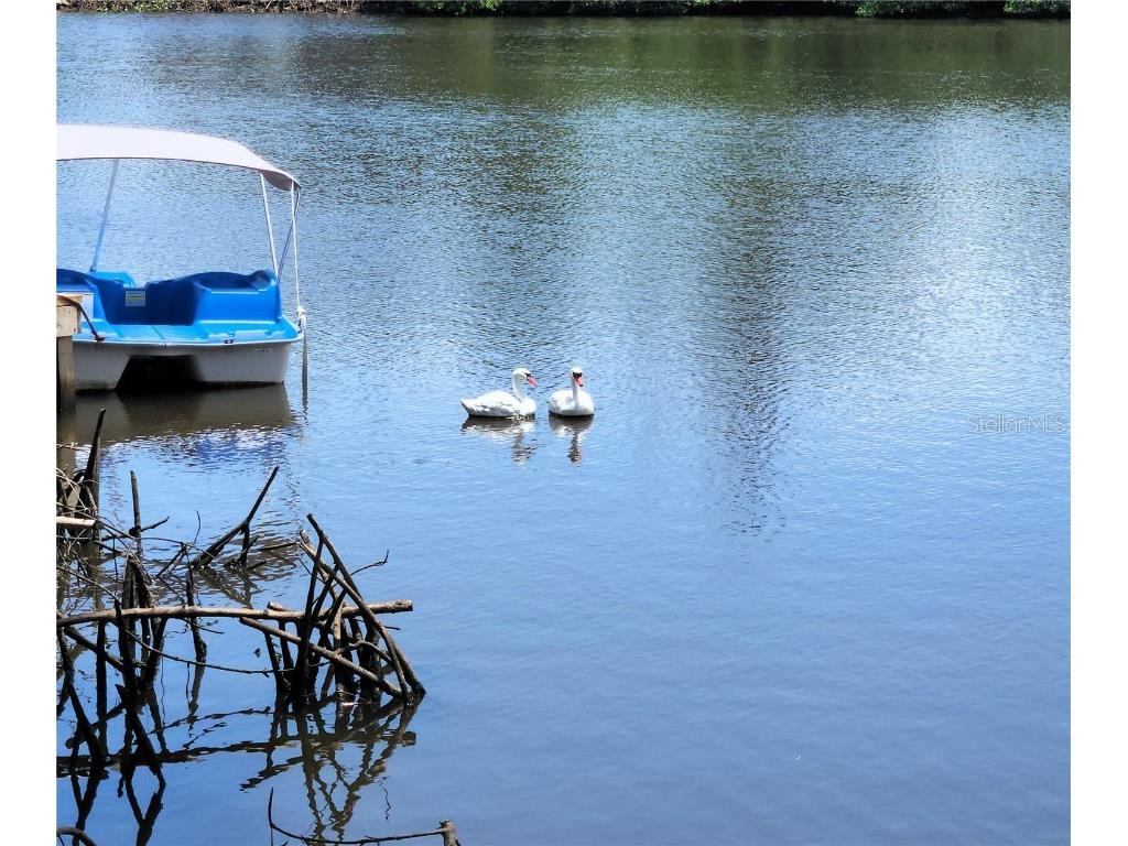 6975 Edgewater Drive New Port Richey FL 34652 - OYSTER CREEK TB8405799 image2