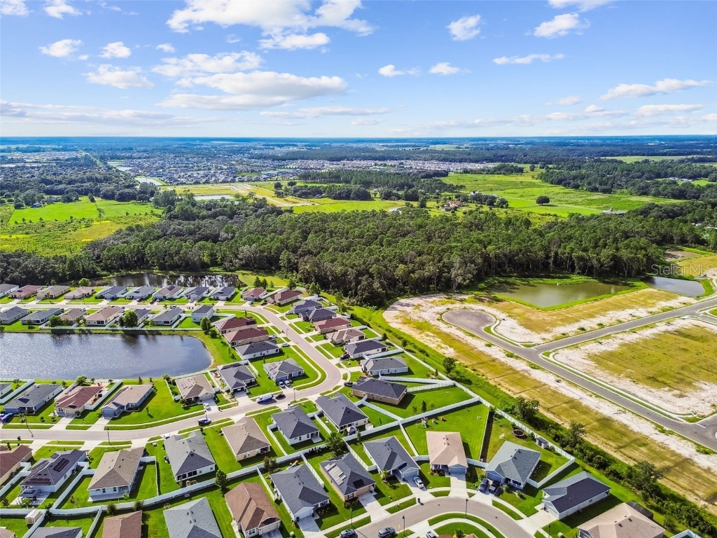 6977 Abbywood Lane Zephyrhills FL 33541 W7878946 image41