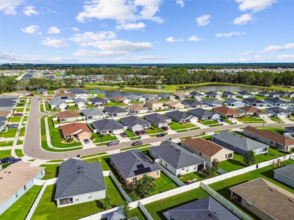 6977 Abbywood Lane Zephyrhills FL 33541 W7878946 image43