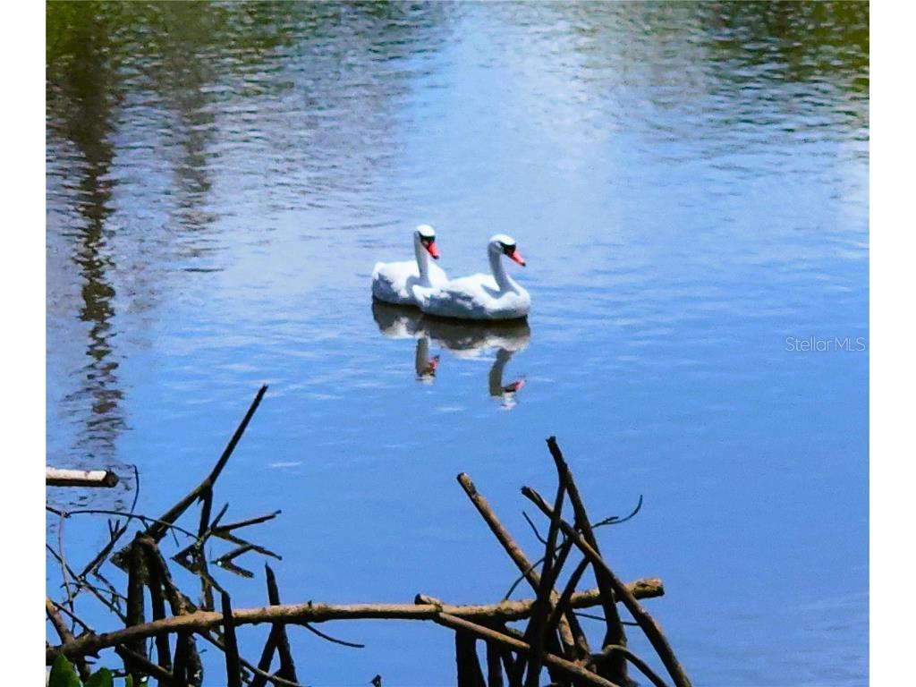 6977 Edgewater Drive New Port Richey FL 34652 - OYSTER CREEK TB8409516 image2