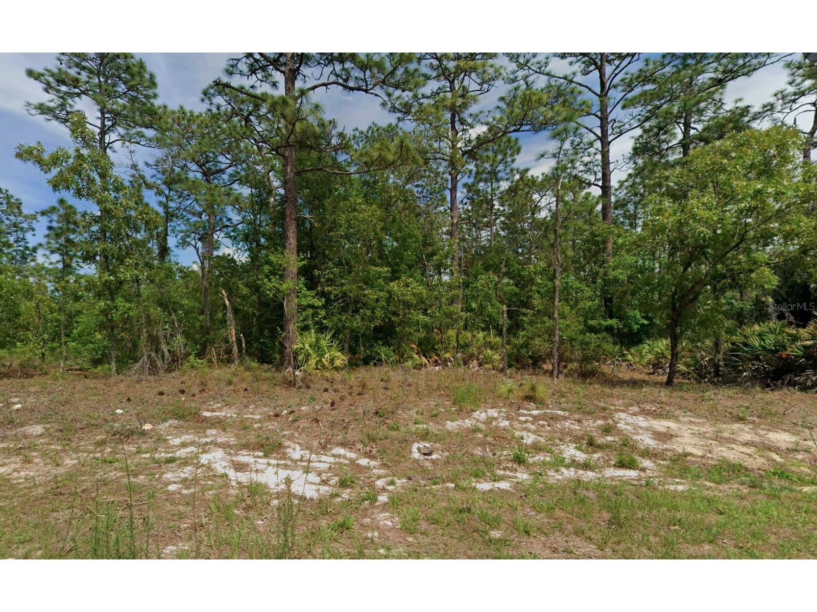 6977 N Foxdale Drive Citrus Springs FL 34434 O6423349 image1