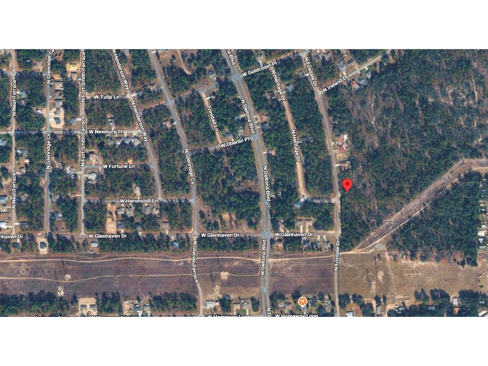 6977 N Foxdale Drive Citrus Springs FL 34434 O6423349 image2