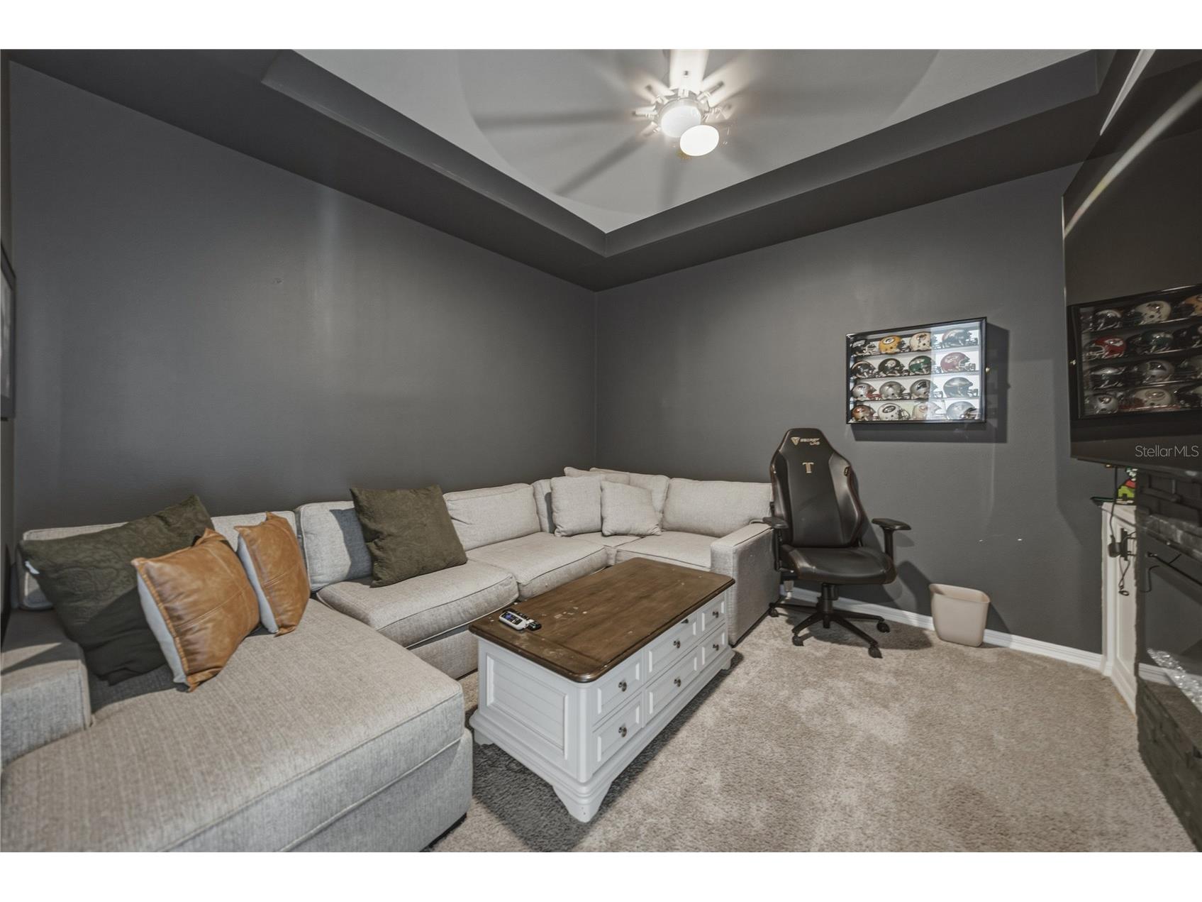 6978 Bradbury Circle Wesley Chapel FL 33545 TB8523677 image48