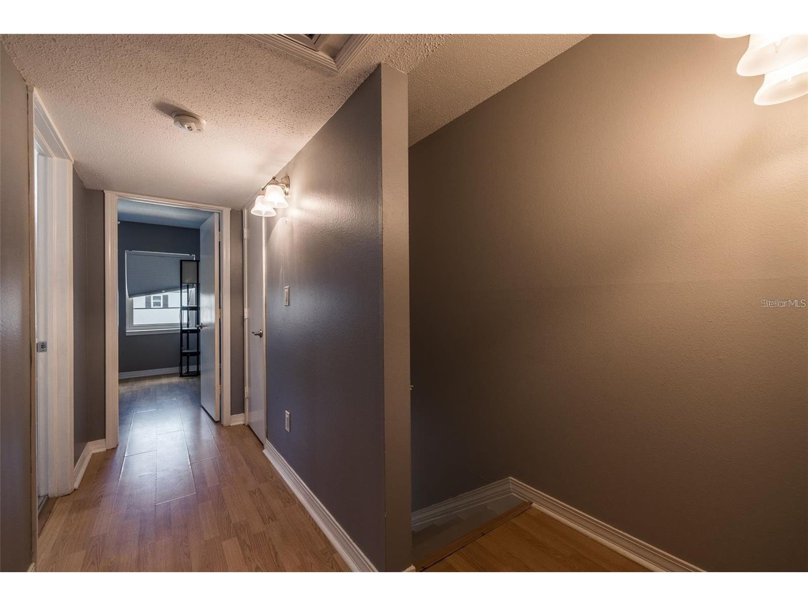 6979 Place De La Paix #6979 South Pasadena FL 33707 TB8506338 image8