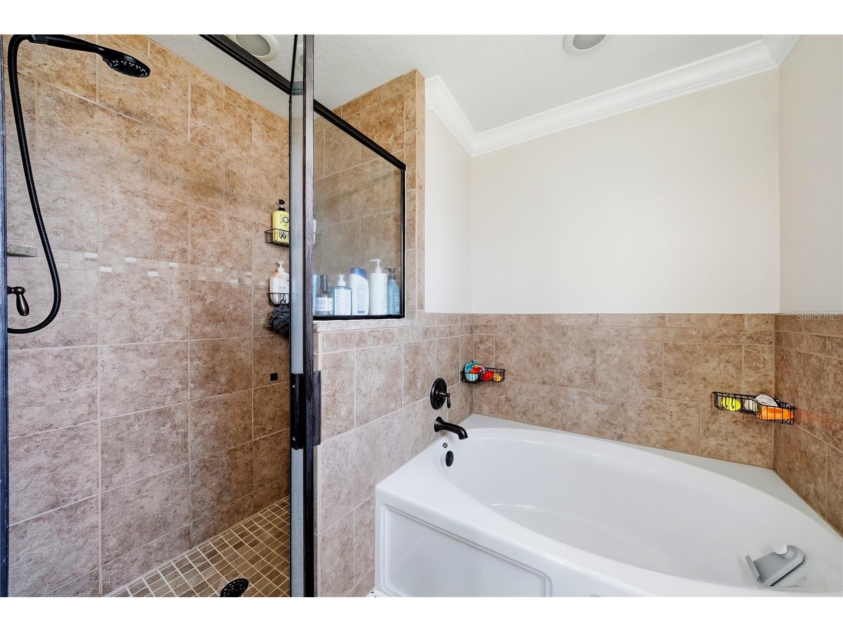 698 Winthrop Drive Spring Hill FL 34609 TB8510711 image26
