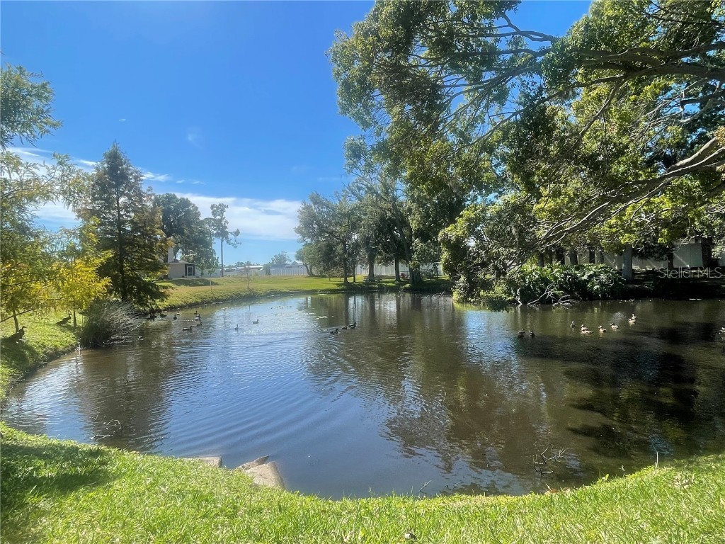 6980 Ulmerton Road #3G Largo FL 33771 TB8444753 image45