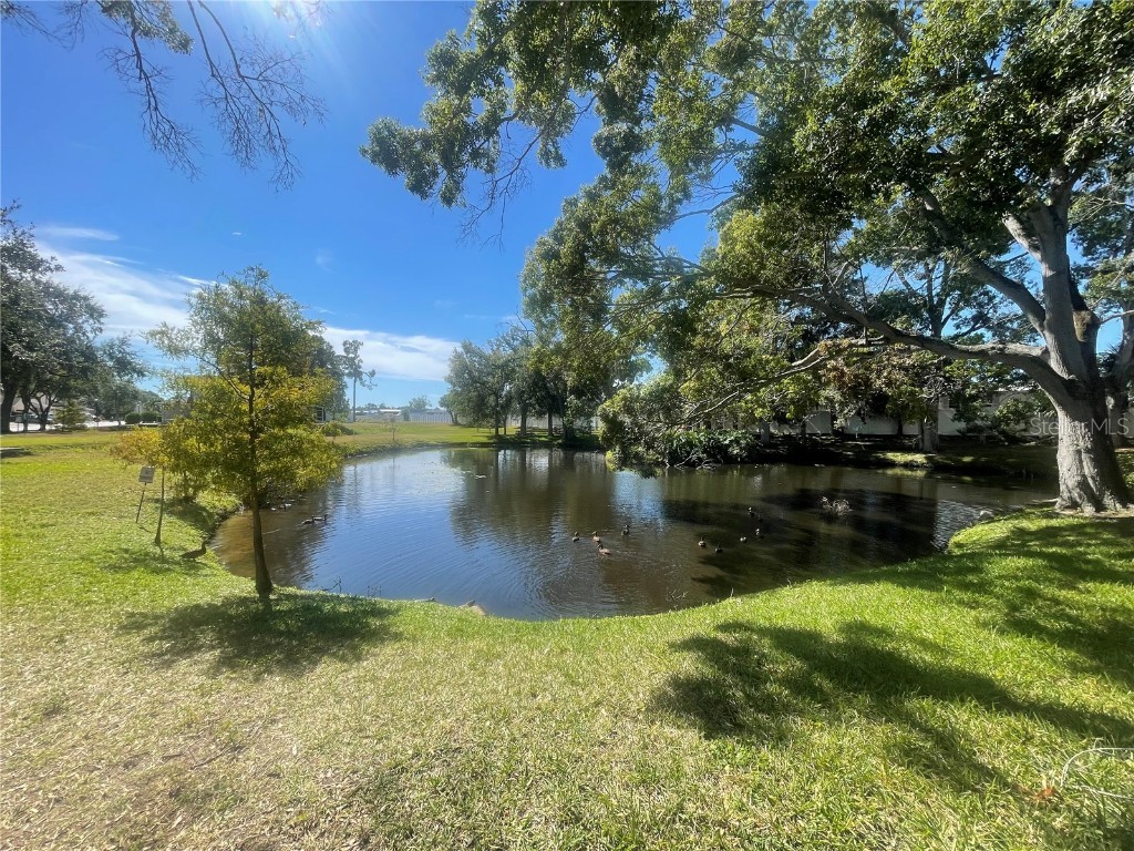 6980 Ulmerton Road #3G Largo FL 33771 TB8444753 image46