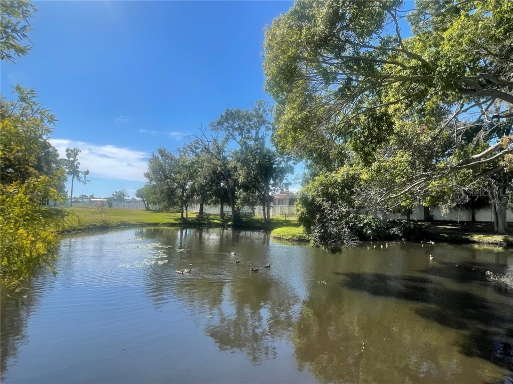 6980 Ulmerton Road #3G Largo FL 33771 TB8444753 image50