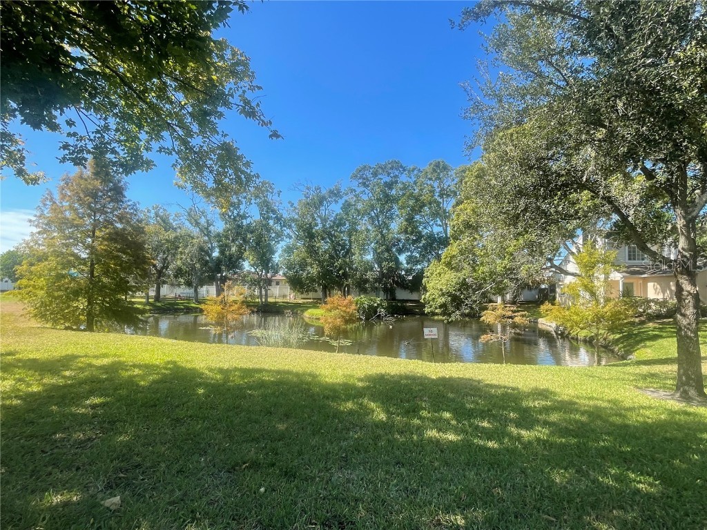 6980 Ulmerton Road #3G Largo FL 33771 TB8444753 image51