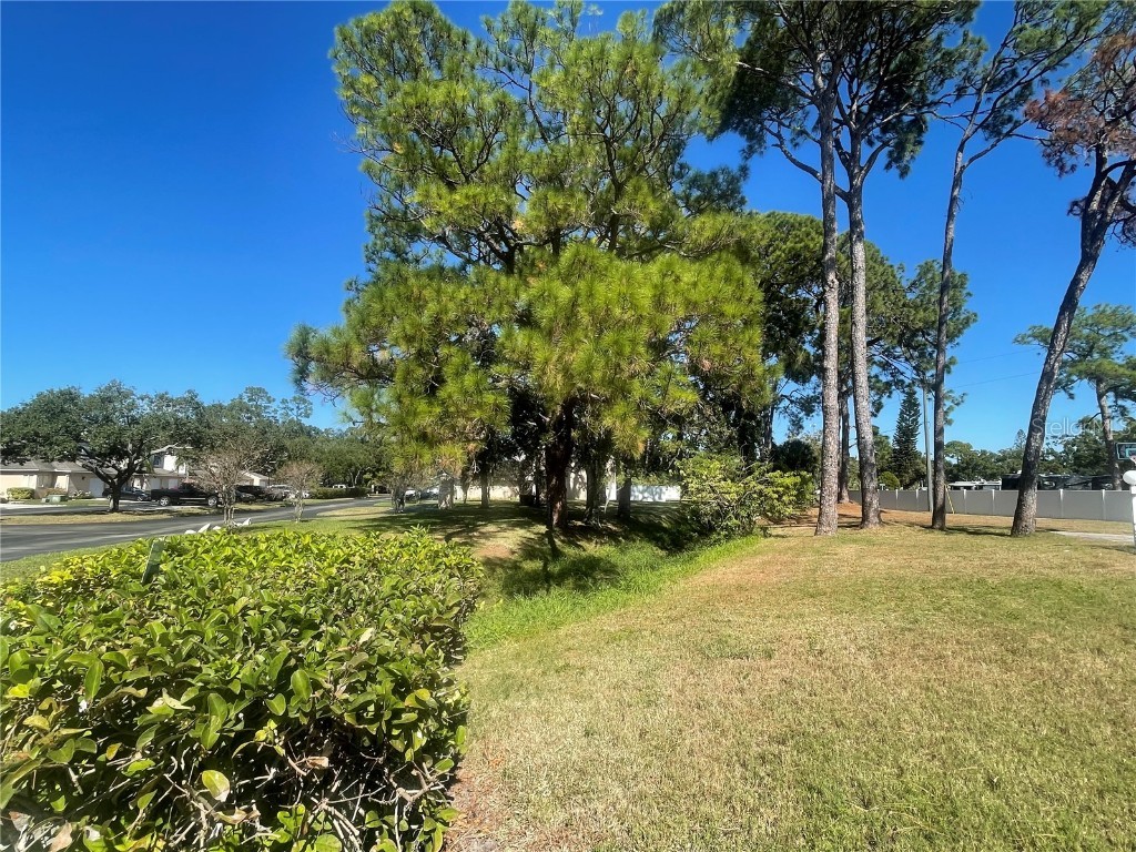 6980 Ulmerton Road #3G Largo FL 33771 TB8444753 image52