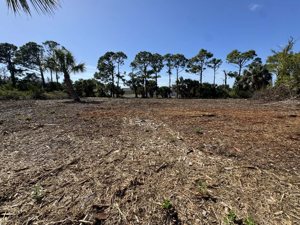 6981 Sea Mist Drive Port Charlotte FL 33981 TB8488160 image1