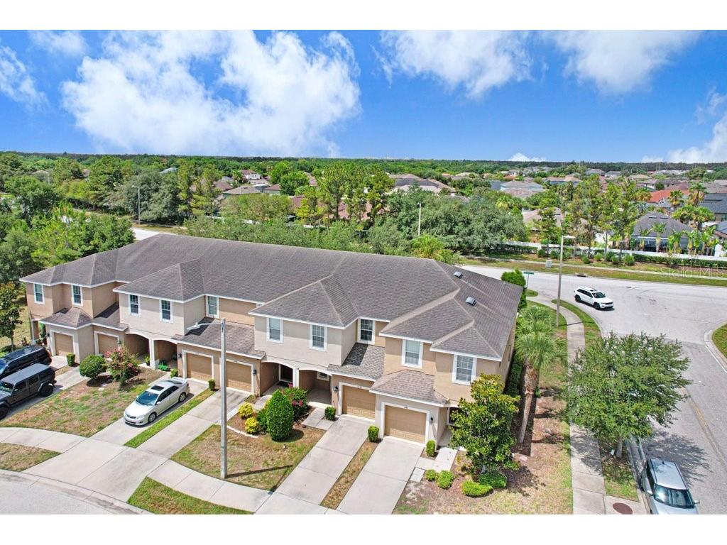 6982 Holly Heath Drive Riverview FL 33578 TB8525776 image23