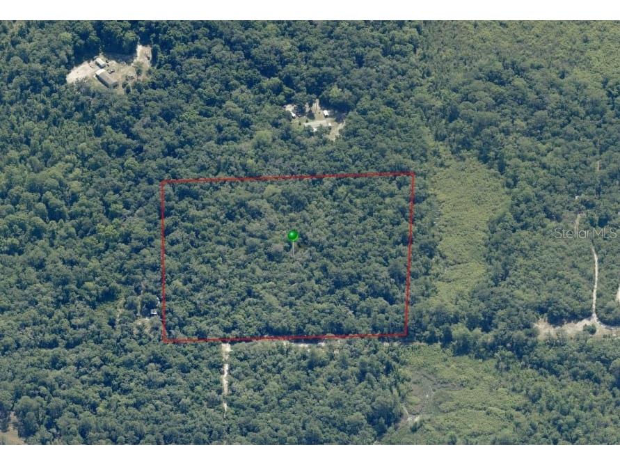 6989 N Tamarind Avenue Hernando FL 34442 V4941525 image1