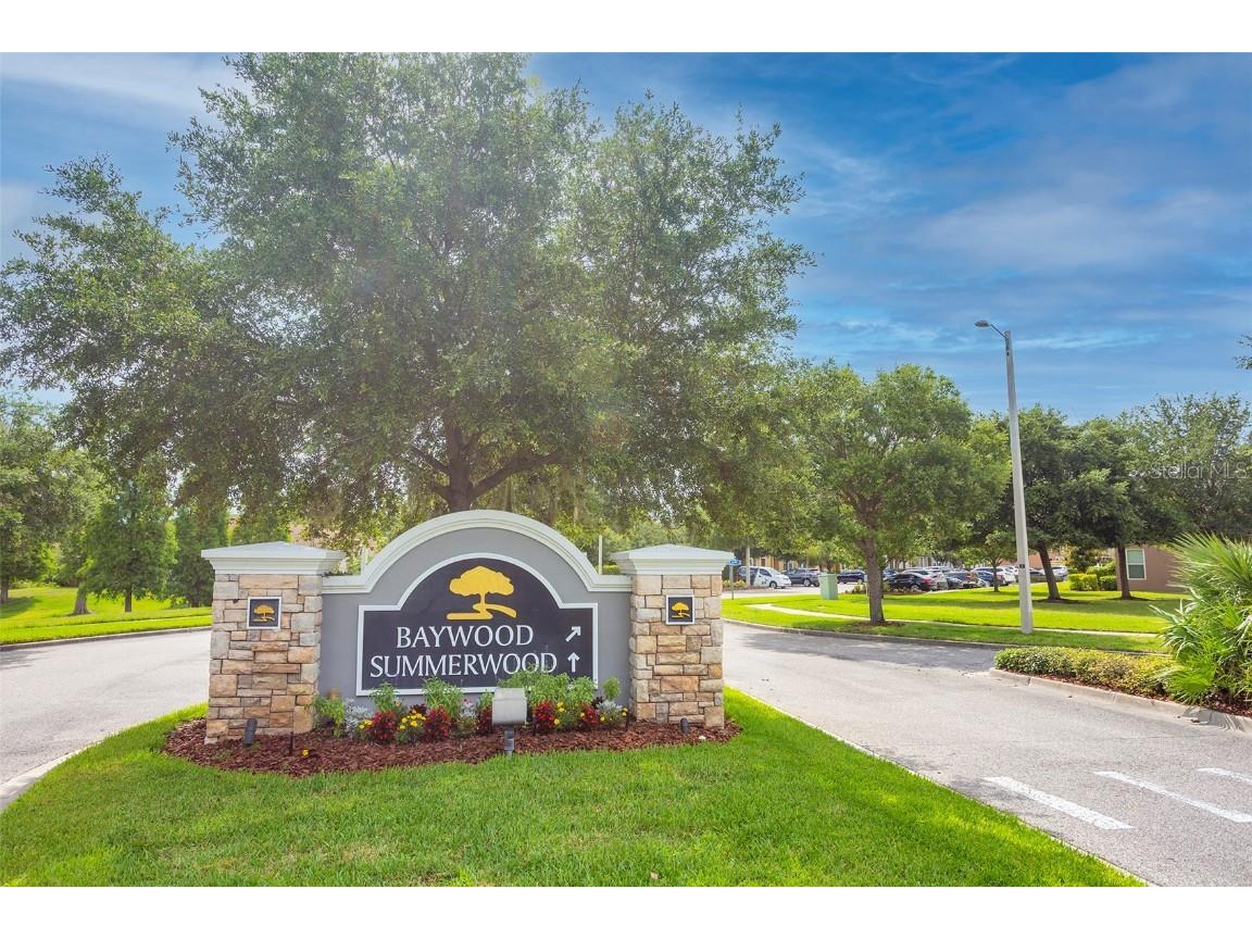 6989 Towering Spruce Drive Riverview FL 33578 U8218360 image1