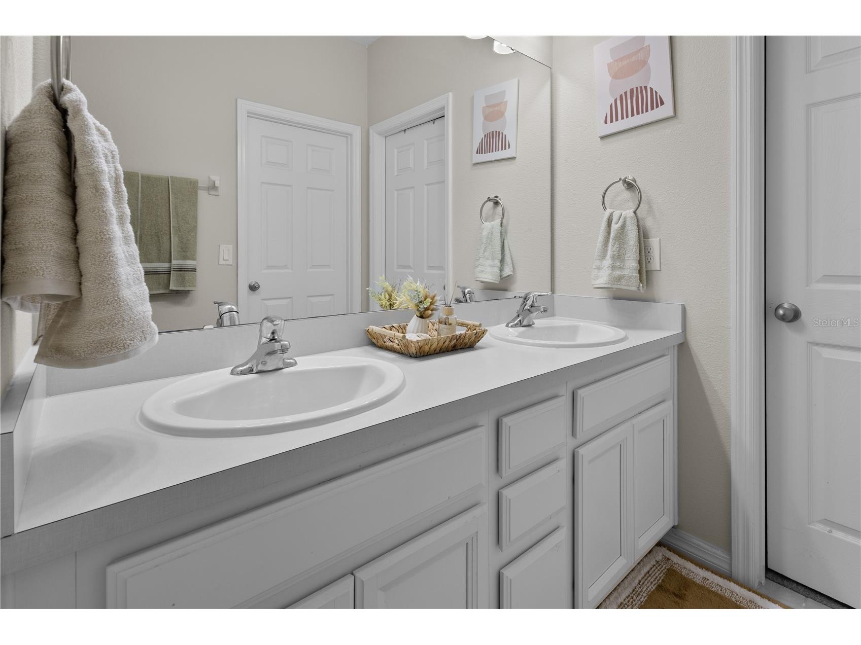 6989 Tussilago Way Orlando FL 32822 S5143436 image15