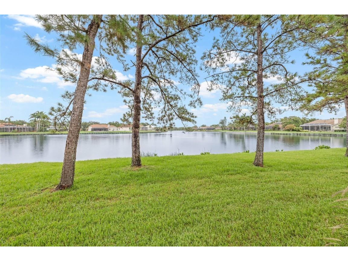 699 Malta Court NE Saint Petersburg FL 33703 TB8404812 image44