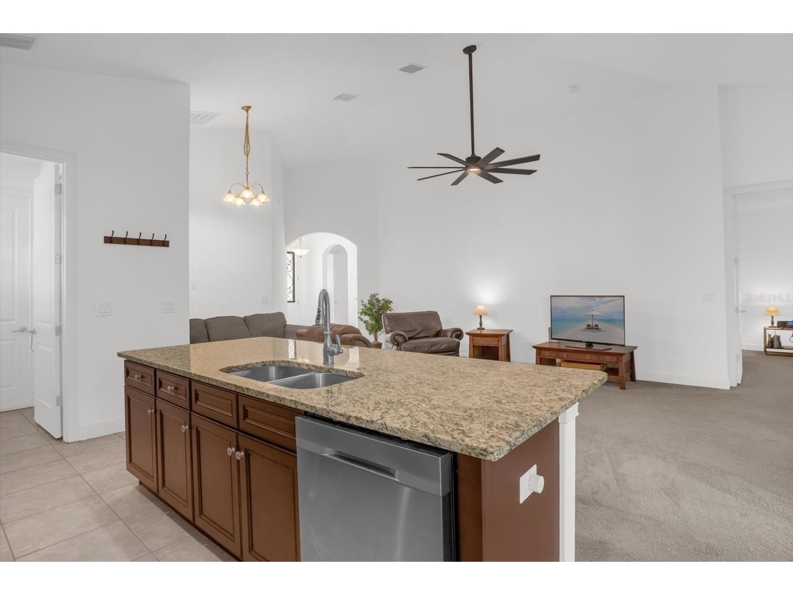 699 S Dixie Drive Howey In The Hills FL 34737 O6395413 image11