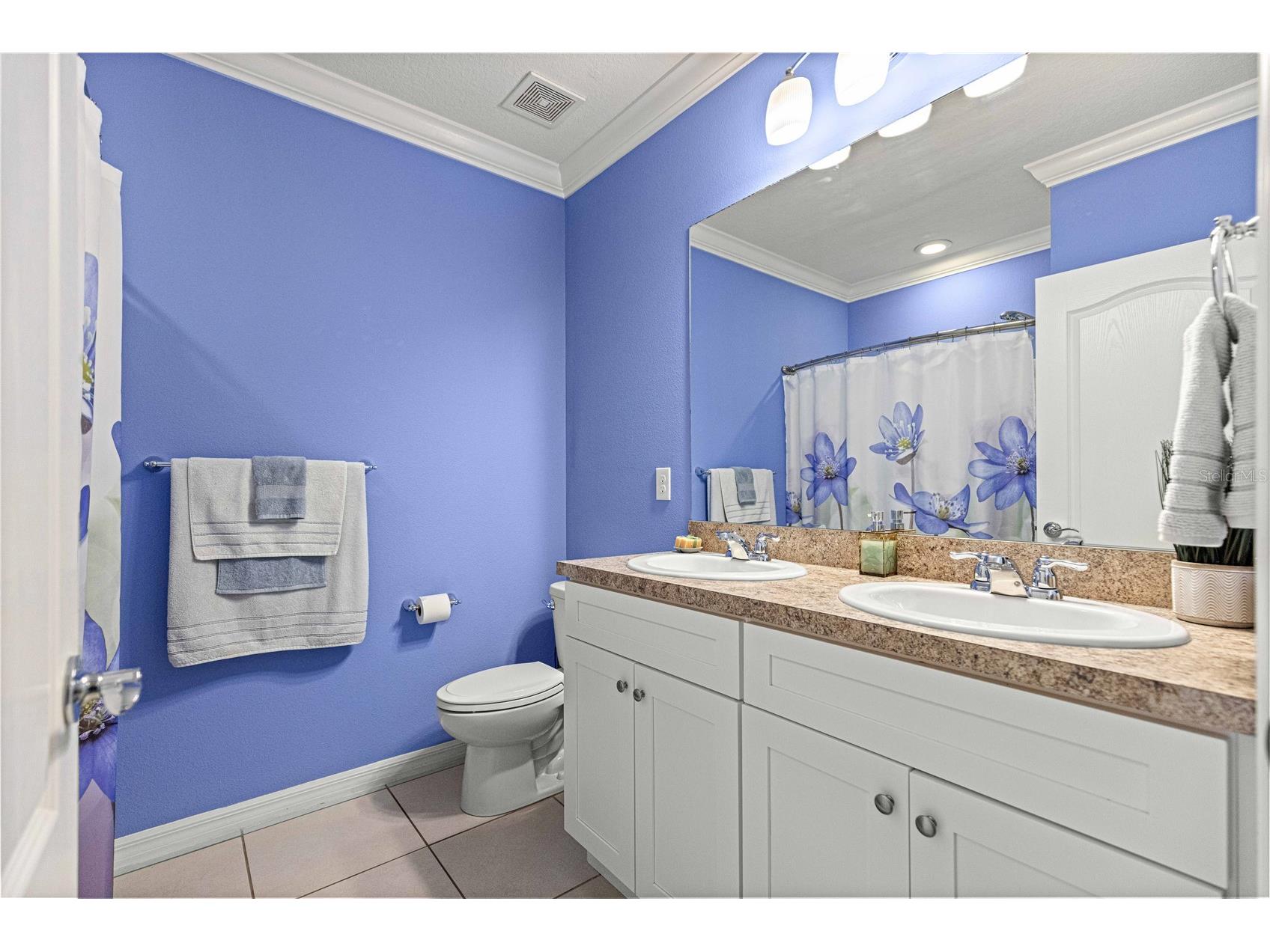 6990 SW 64th Terrace Ocala FL 34476 OM726933 image25