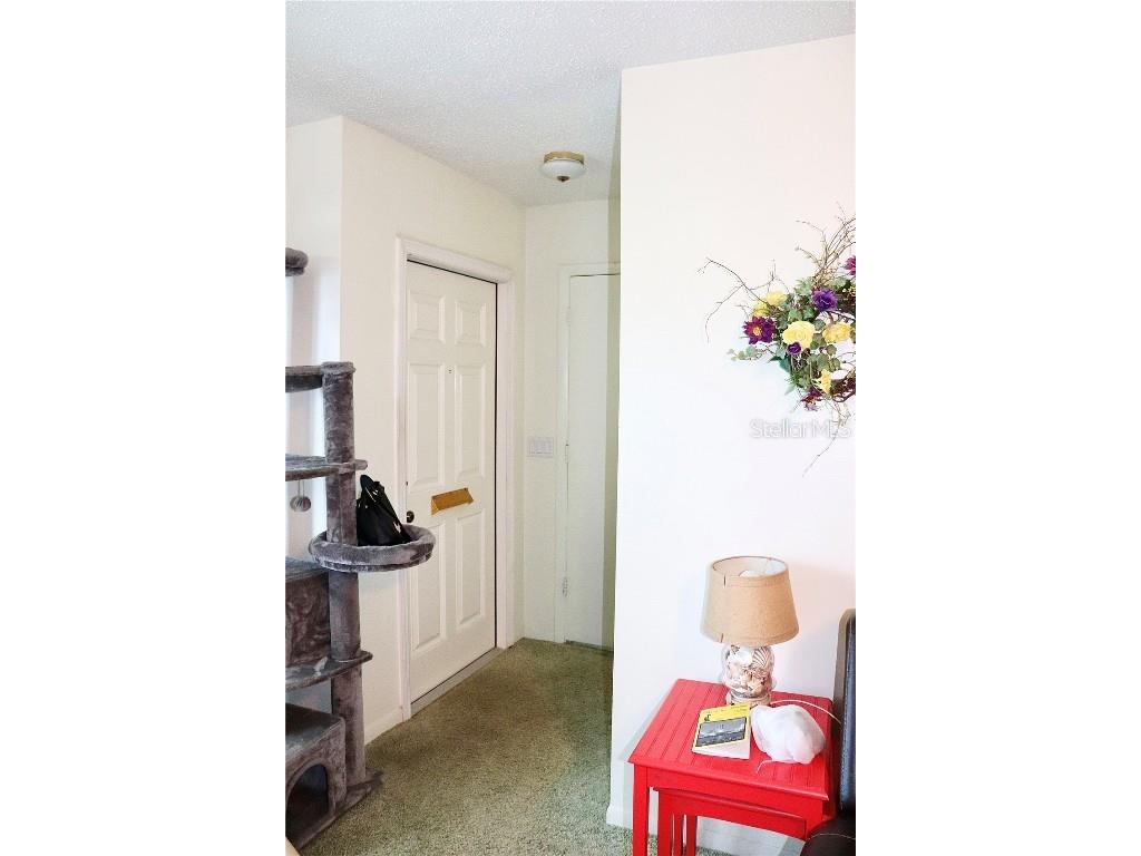 6990 Versailles N #6990 Pinellas Park FL 33781 TB8436259 image3