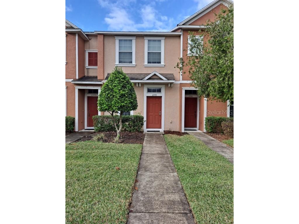 6993 Towering Spruce Drive Riverview FL 33578 T3421307 image1