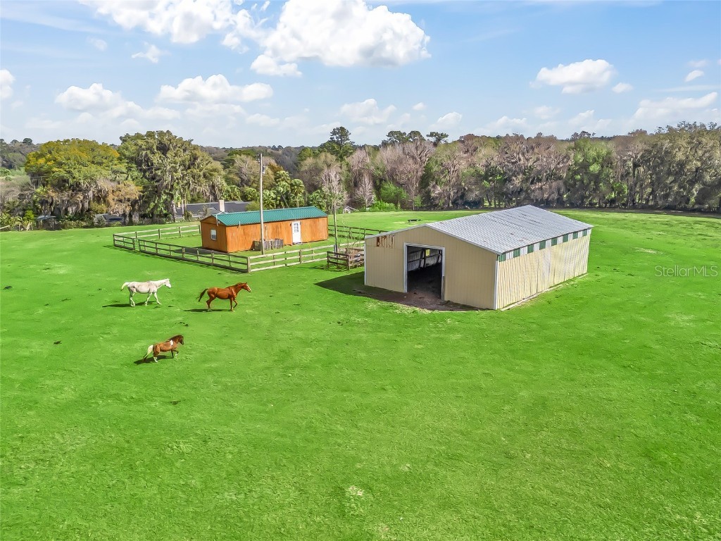 6994 NW 320 Highway Micanopy FL 32667 OM712976 image45