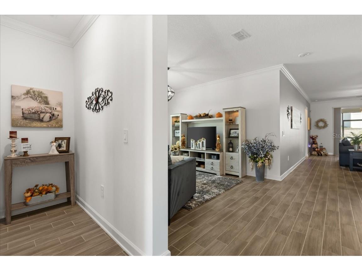 6997 Perch Hammock Loop Groveland FL 34736 O6346646 image22