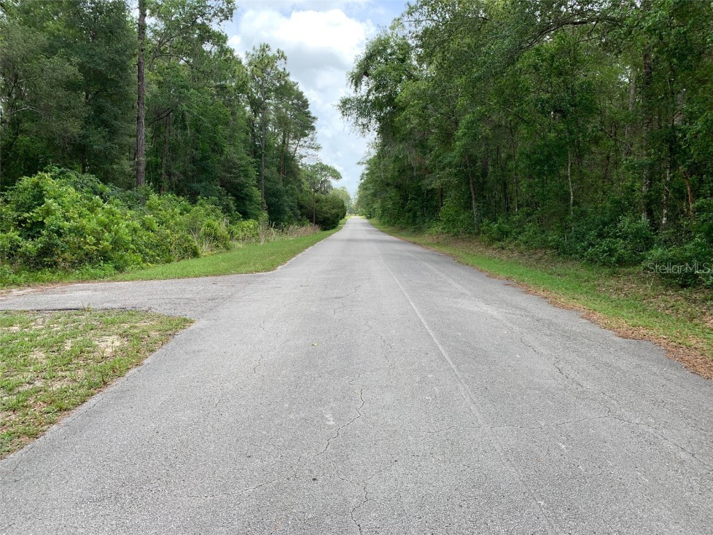 6998 E Shady Nook Court Floral City FL 34436 W7855987 image1
