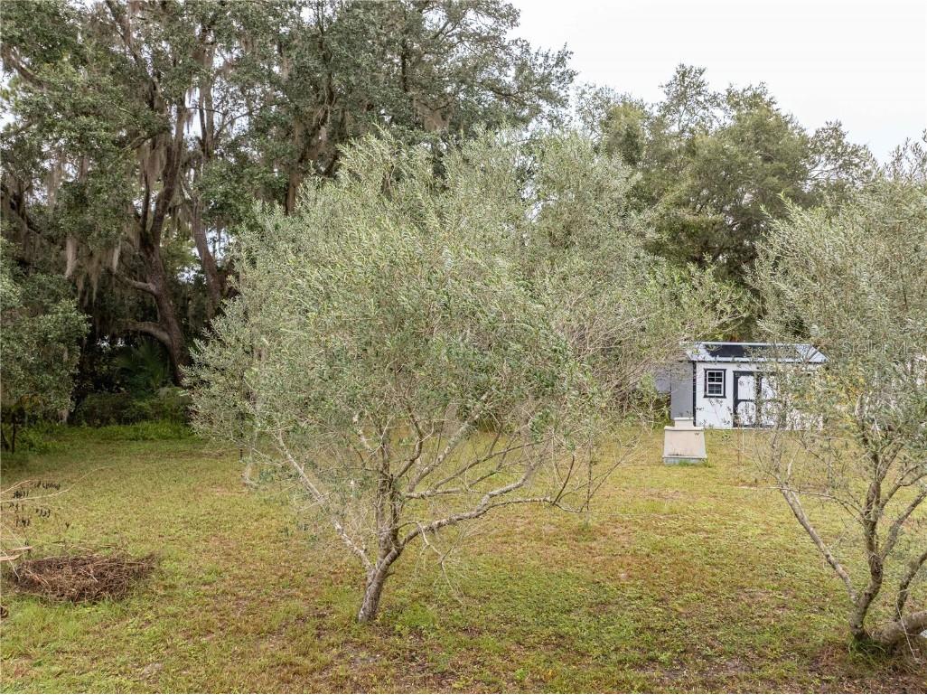 7 55th Street Yankeetown FL 34498 GC535080 image61